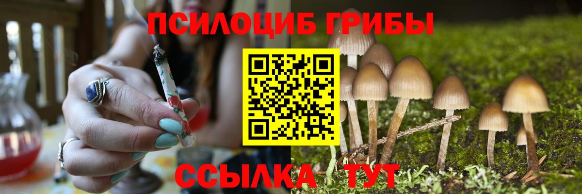 Галлюциногенные грибы Cubensis Каменка