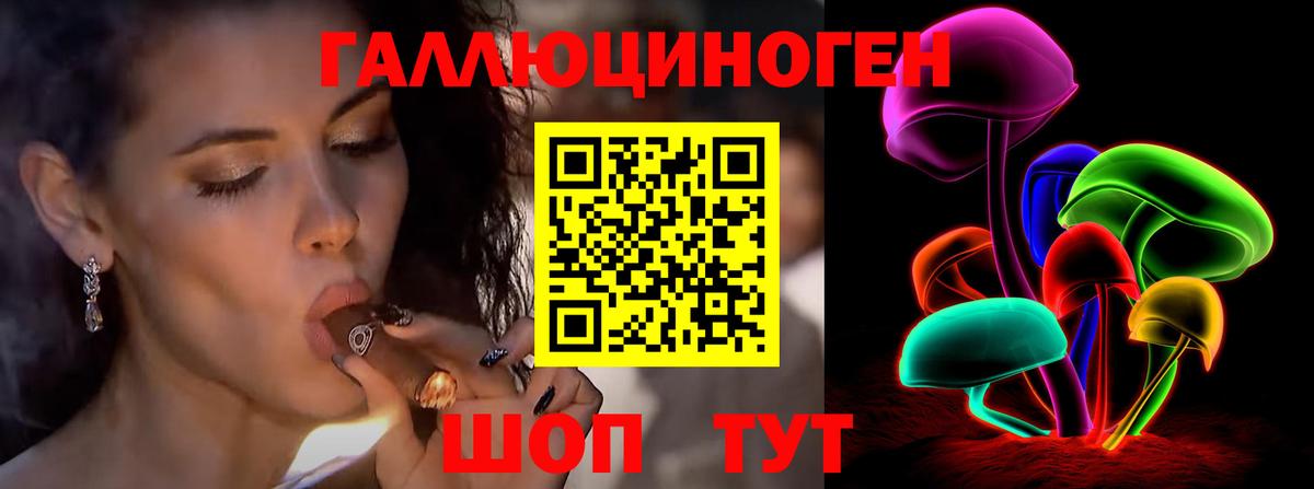 Псилоцибиновые грибы Psilocybe  Вход с VPN  Псилоцибиновые грибы прущие грибы  Каменка 